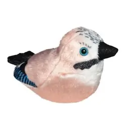 Sójka (z dźwiękiem)