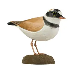 Sieweczka rzeczna (drewno)
